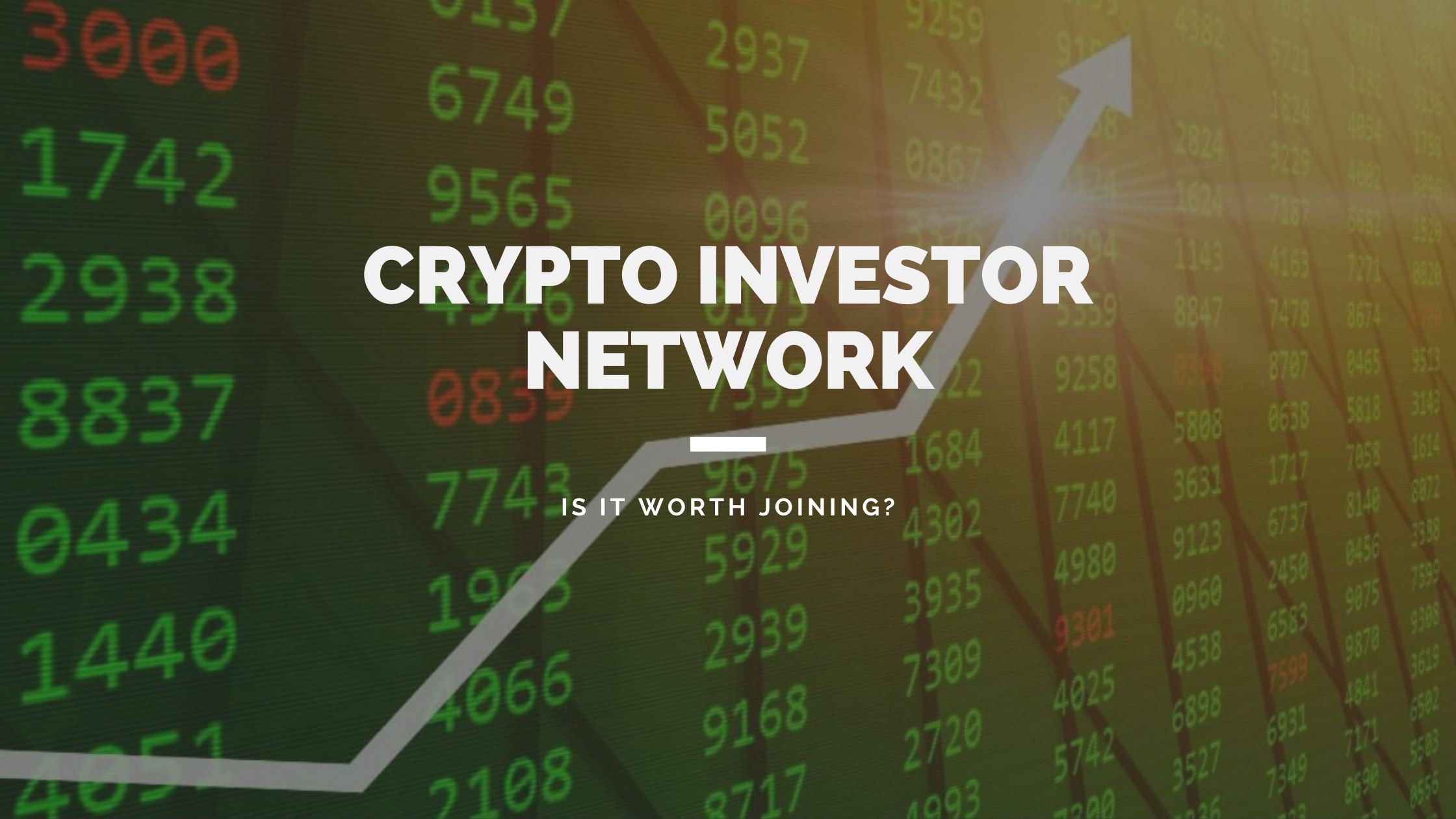 crypto investor network review